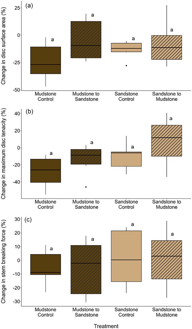 "Three box plots showing percent change in tube foot measurements for sea urchins in a reciprocal transplant experiment with four treatments: sandstone control, sandstone to mudstone, mudstone control, and mudstone to sandstone. Plot A shows percent change in disc surface area. All treatments show a negative percent change, indicating a decrease in disc size across all conditions. Plot B shows percent change in maximum disc tenacity. There is high variability within treatments, with median values close to zero percent change. Plot C shows percent change in stem breaking force. Most treatments show little change, with median values near zero percent change. All plots indicate no significant differences between treatments, as denoted by shared letters above ox.