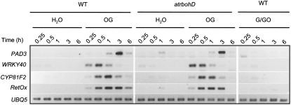 Figure 5.