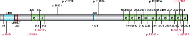 Fig. 2. 