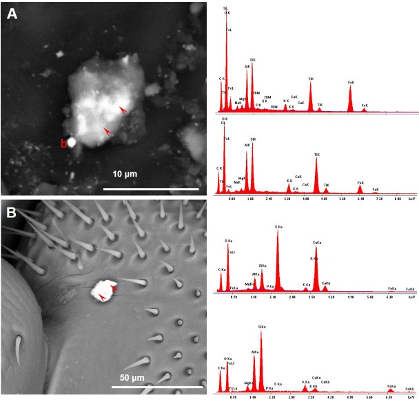 Figure 15