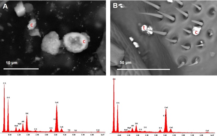 Figure 12