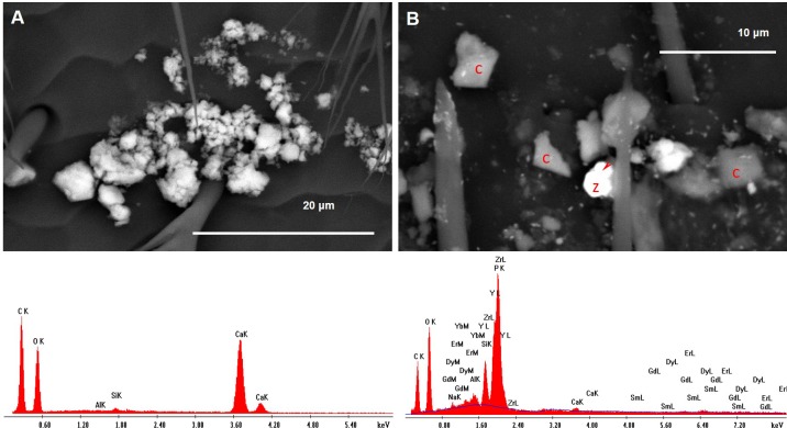 Figure 10