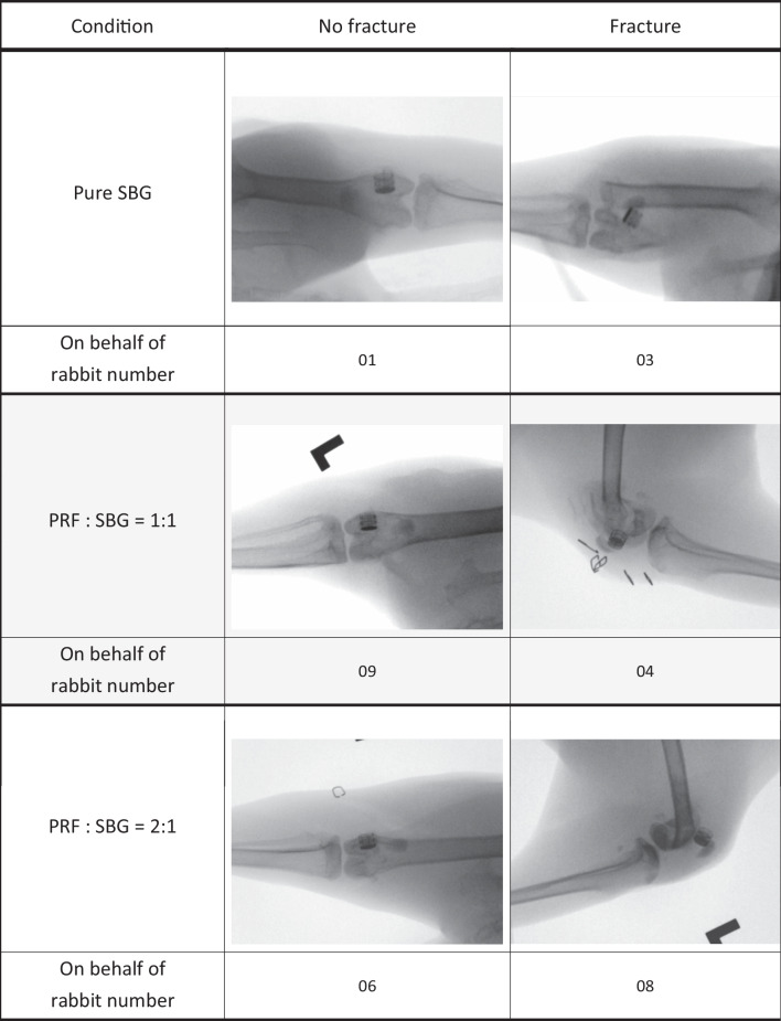 graphic file with name 13018_2024_4784_Tab1_HTML.jpg