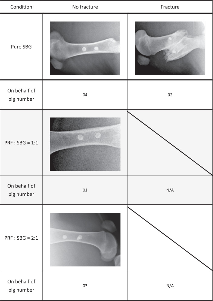 graphic file with name 13018_2024_4784_Tab2_HTML.jpg