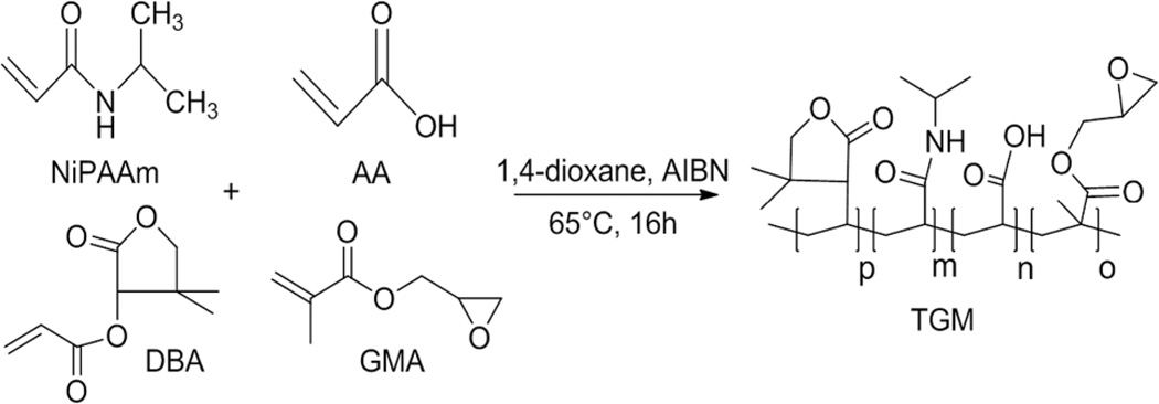 Scheme 1