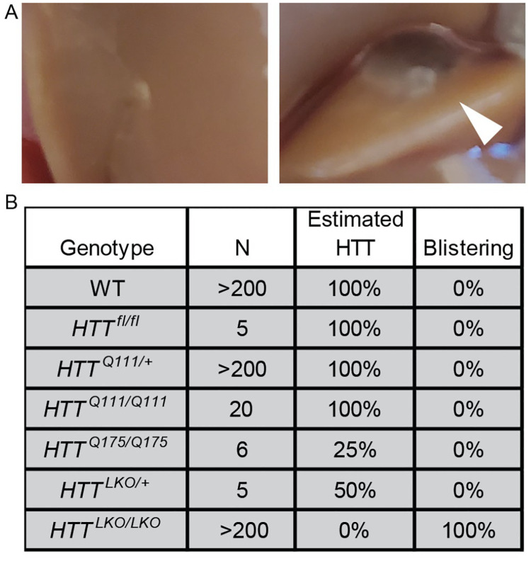 Fig 3: