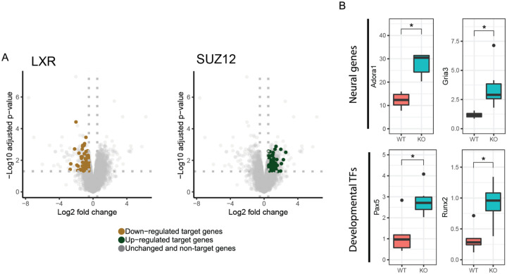 Fig 5: