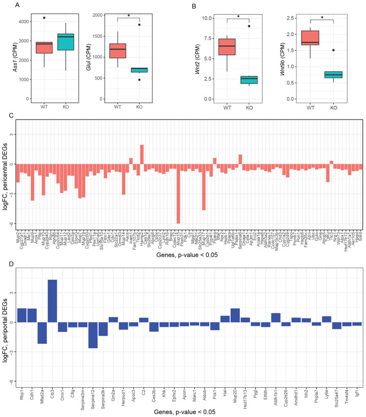 Fig. 6: