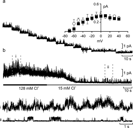 Fig. 4