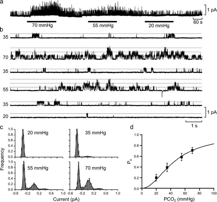 Fig. 1