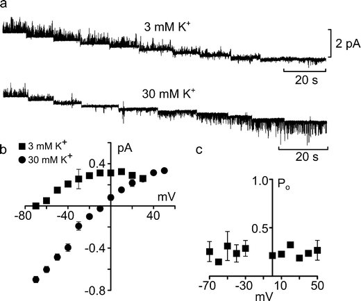 Fig. 3