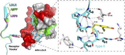 Fig. 2.