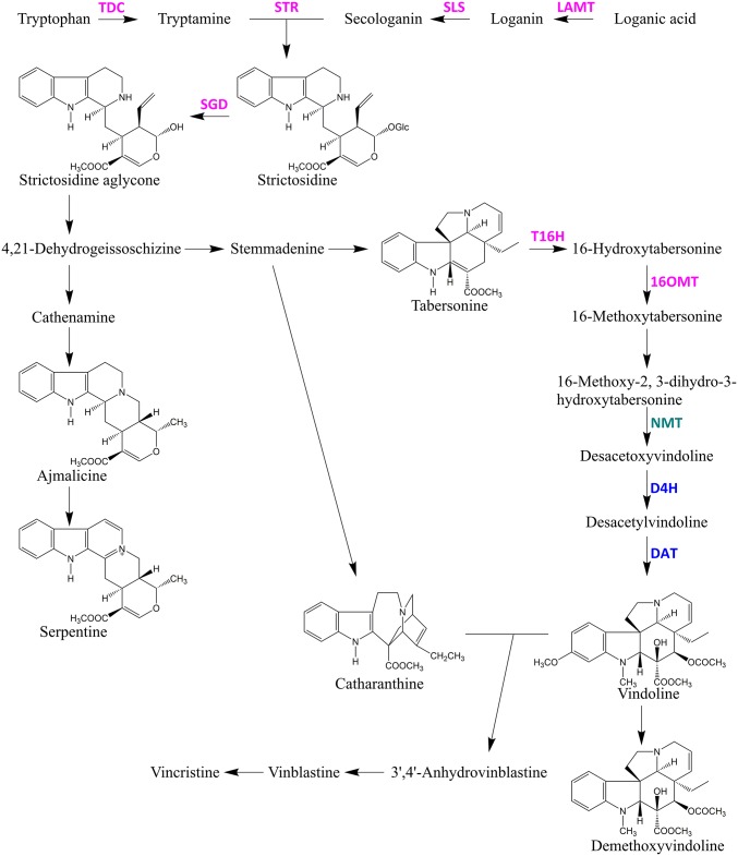 Fig. 1.