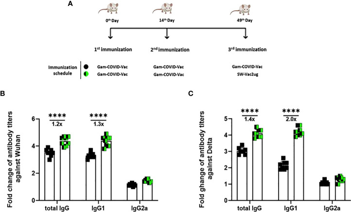 Figure 6