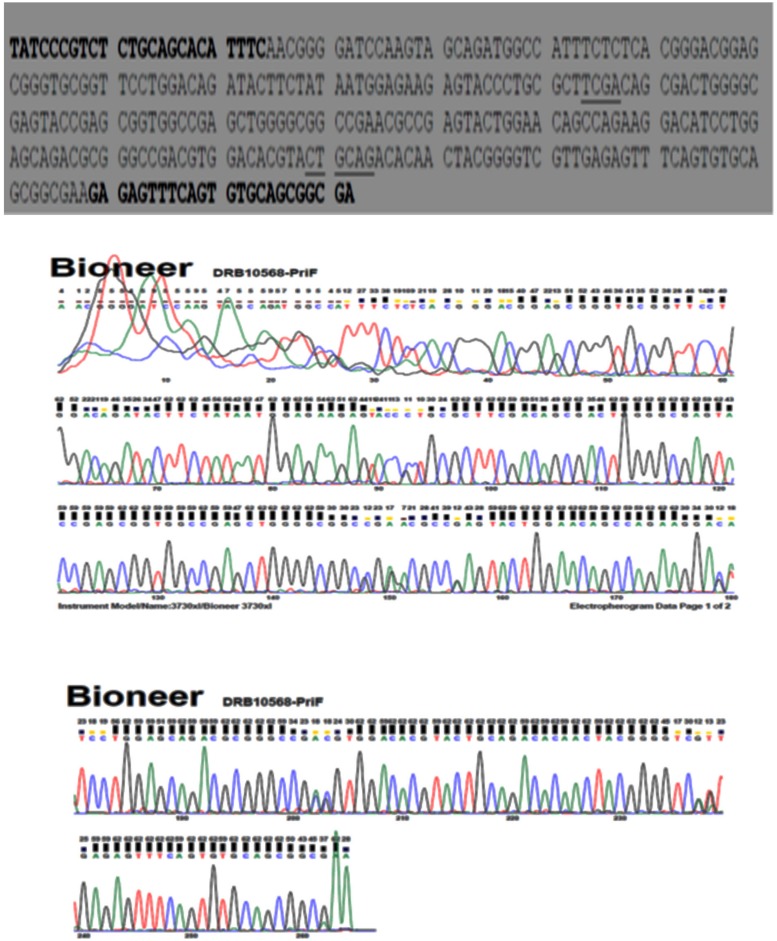 FIGURE 4