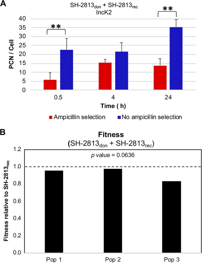 FIG 3