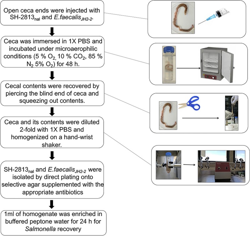 FIG 1