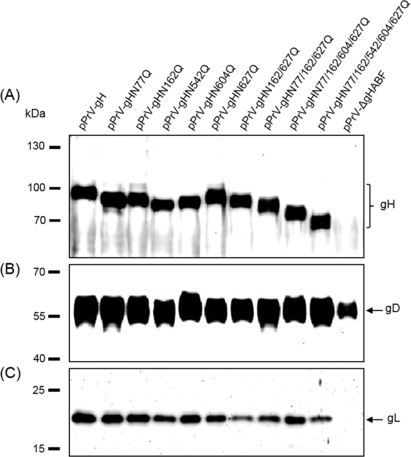 FIG 6