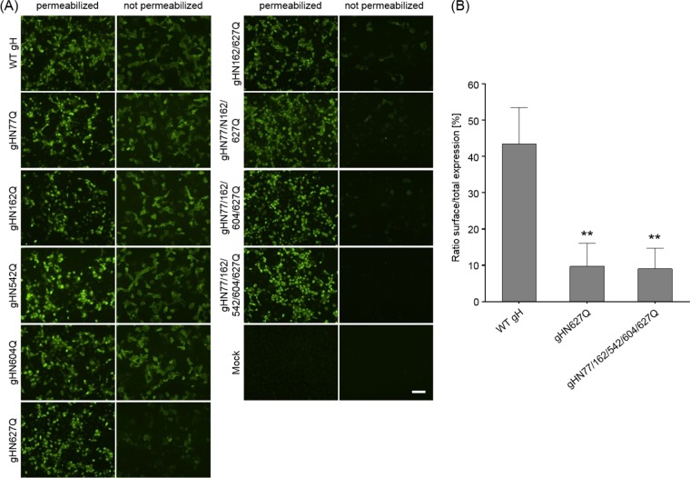 FIG 2