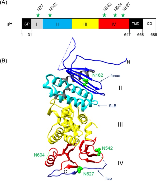 FIG 1