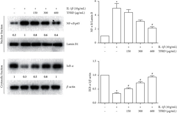 Figure 13