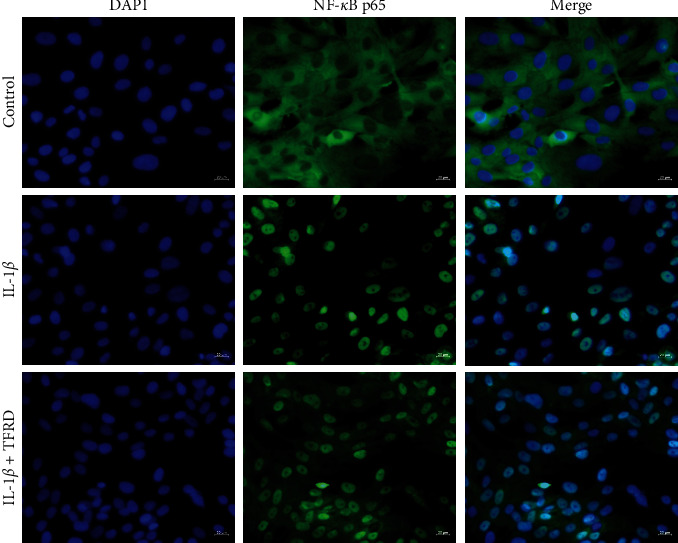 Figure 14