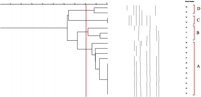 FIGURE 2