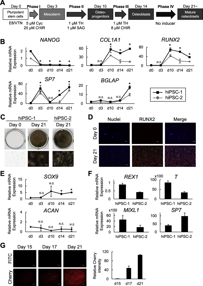 Fig. 3