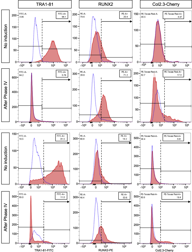 Fig. 4