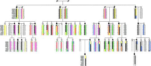 Figure  1