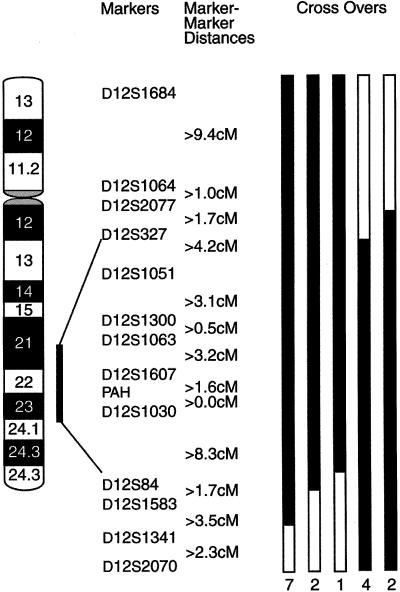 Figure  2