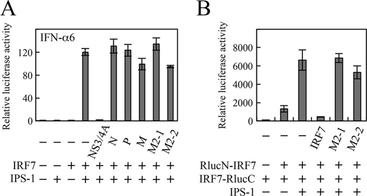 FIG 6