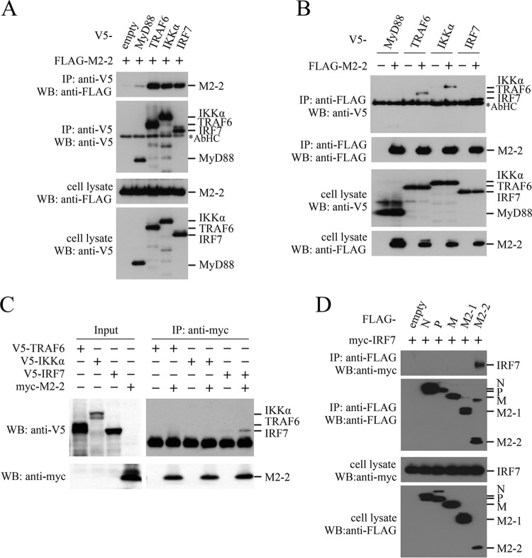 FIG 3