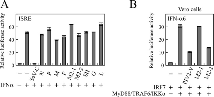 FIG 2