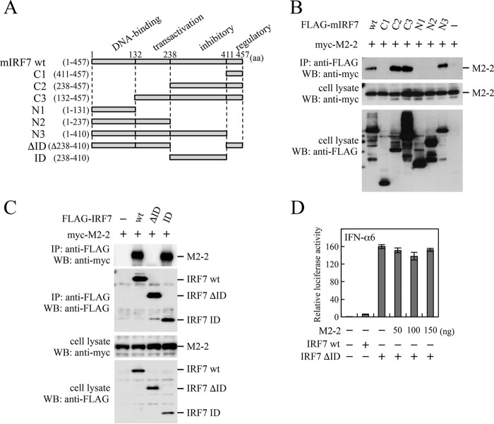 FIG 4