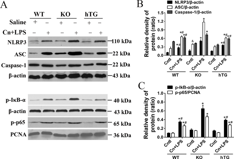 Fig. 9.