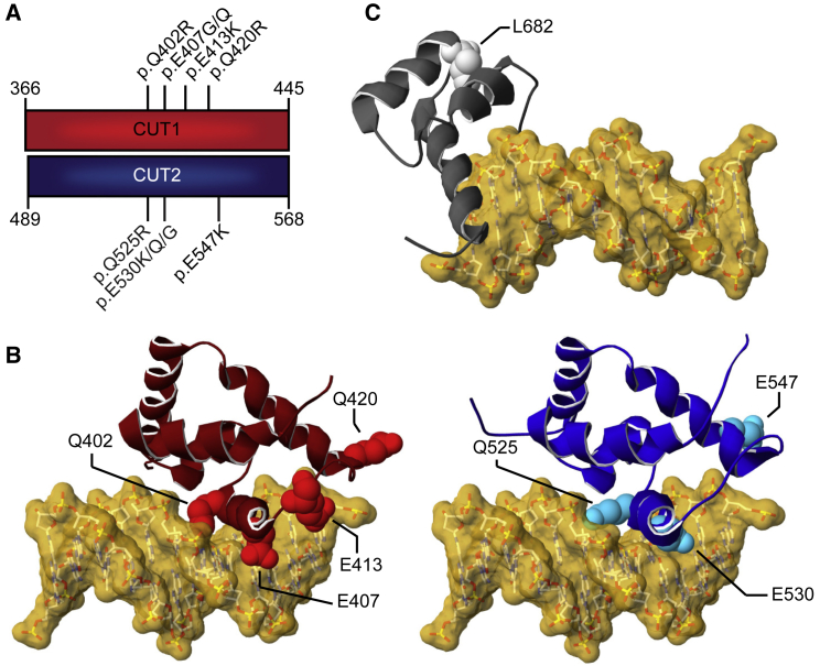 Figure 2