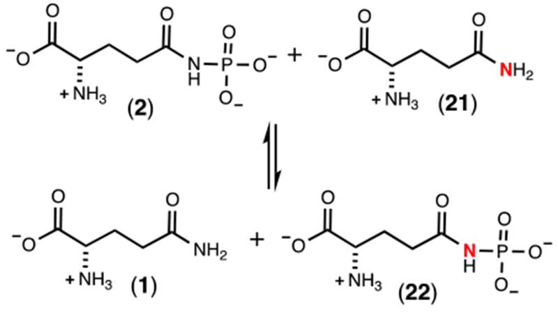 Scheme 7: