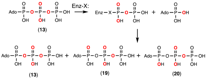 Scheme 6: