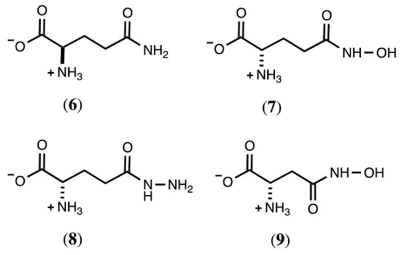 Scheme 4: