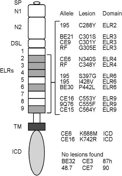 Figure 4.—