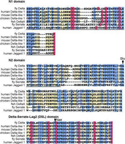 Figure 2.—