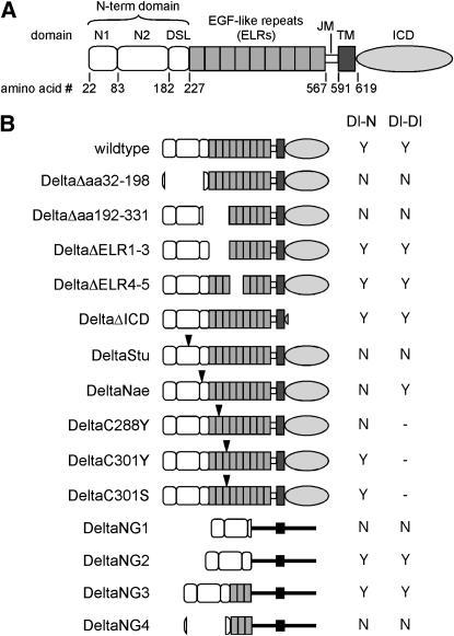 Figure 1.—