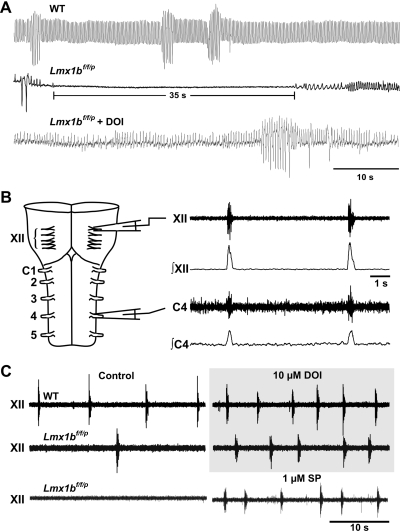 Fig. 2.