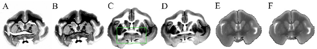 Fig 6