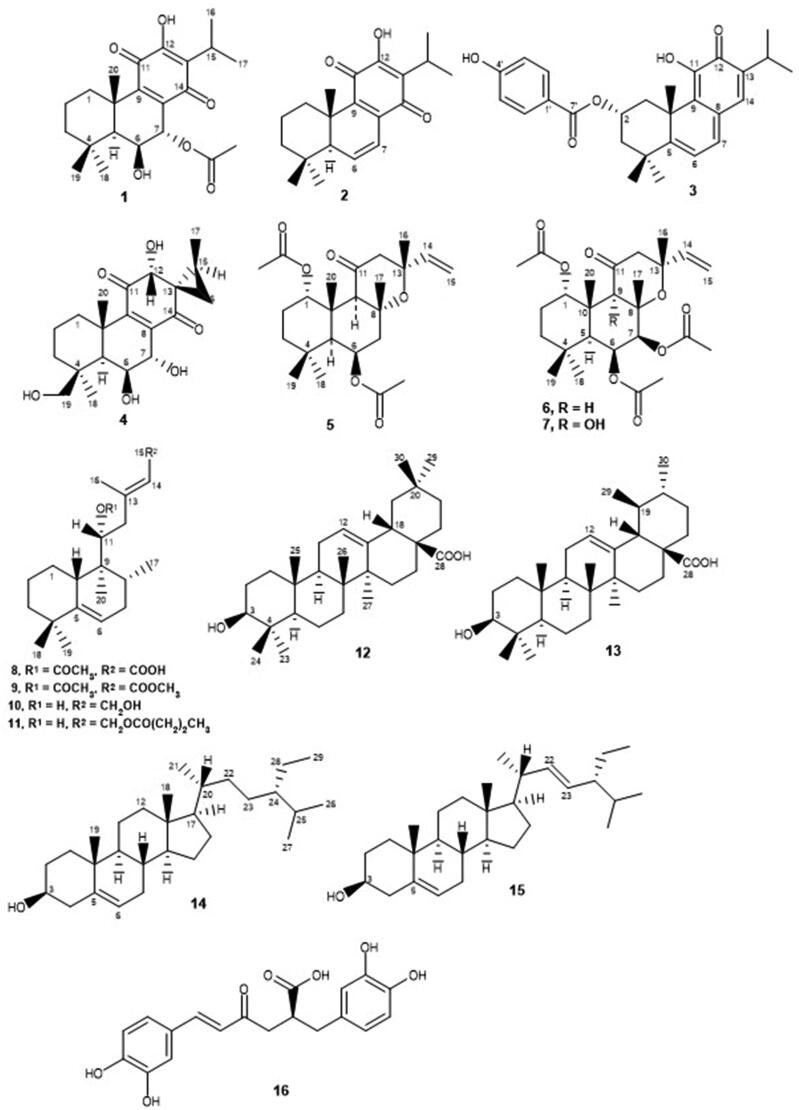 Figure 1.