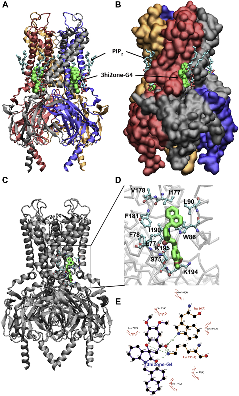 Figure 4