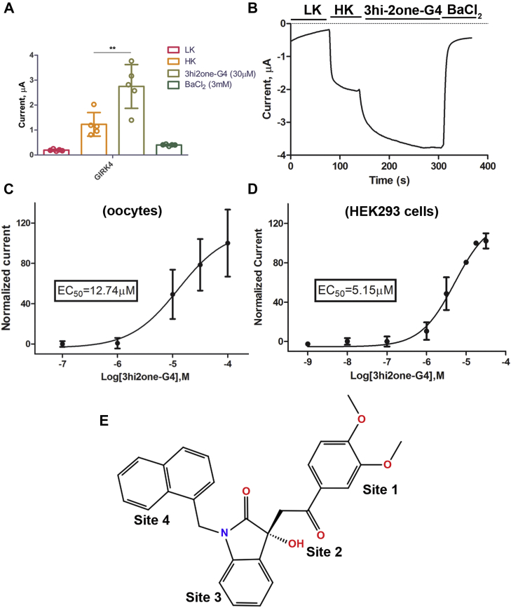 Figure 1