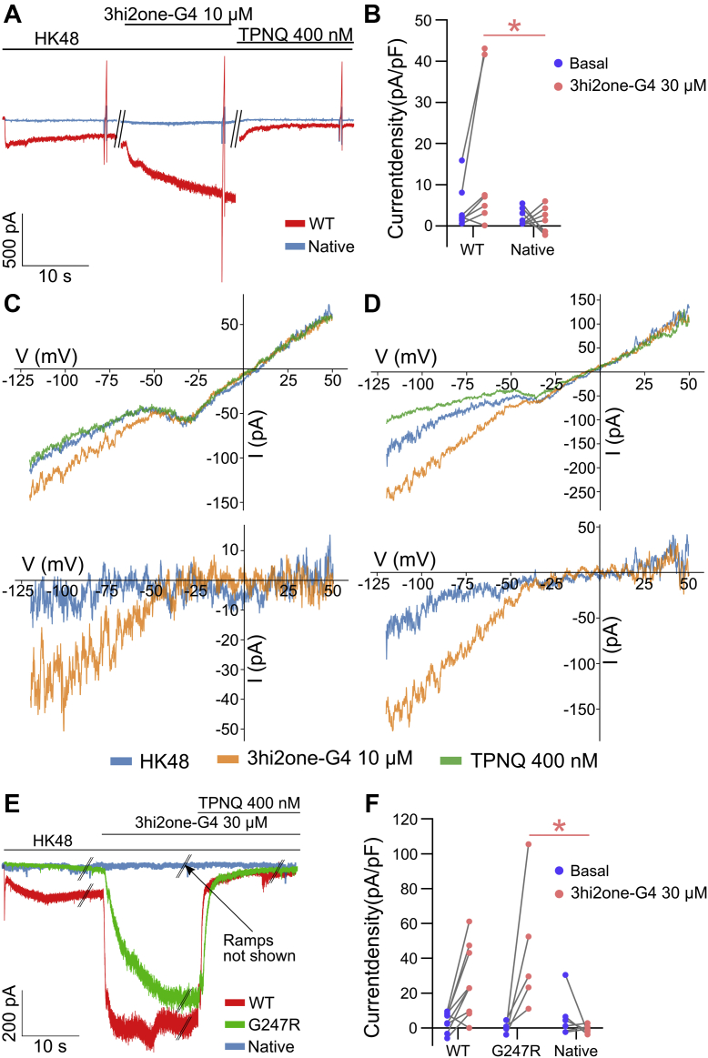 Figure 10