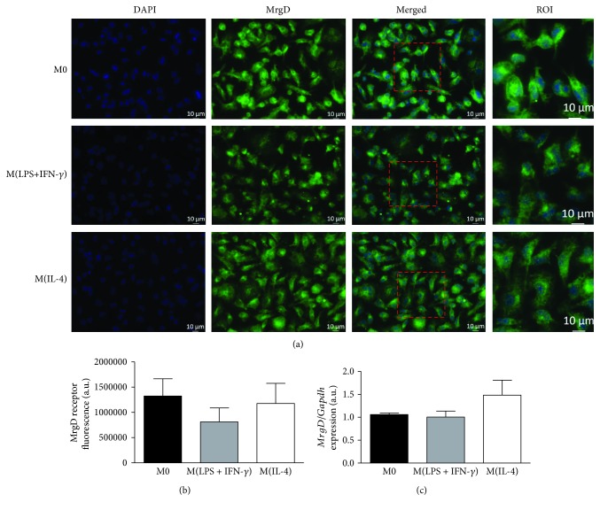 Figure 2